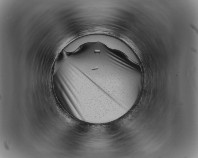 X0000095130850200801041245