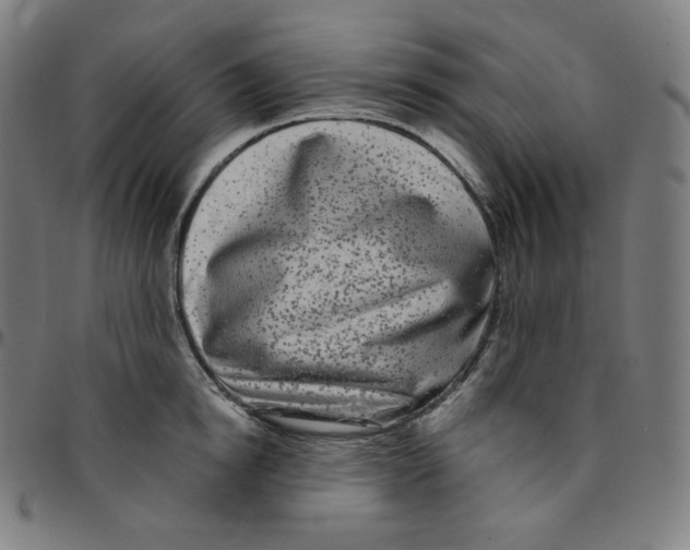 X0000095130854200801041245