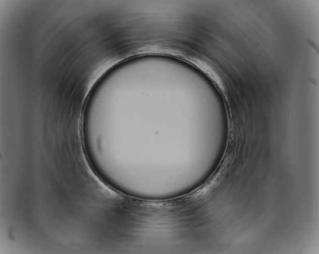 X0000095130855200801041245