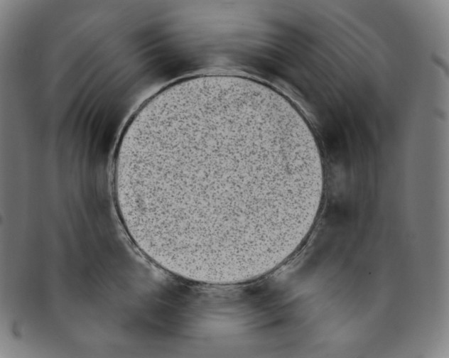 X0000095130856200801041245