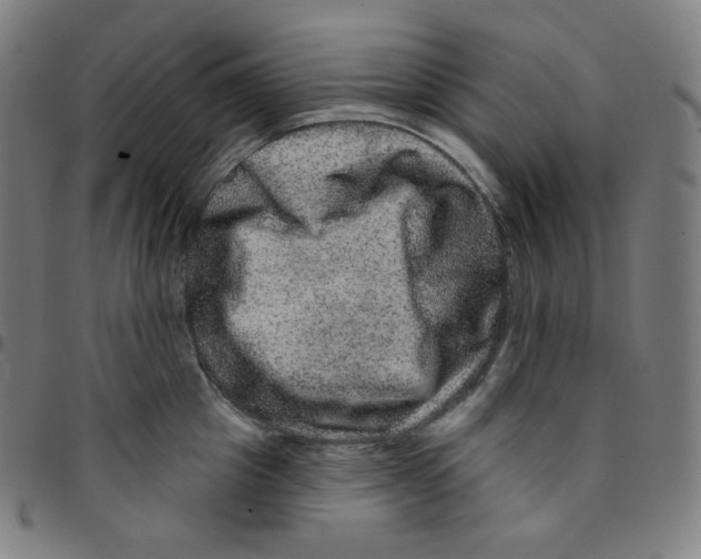 X0000095130857200801041245