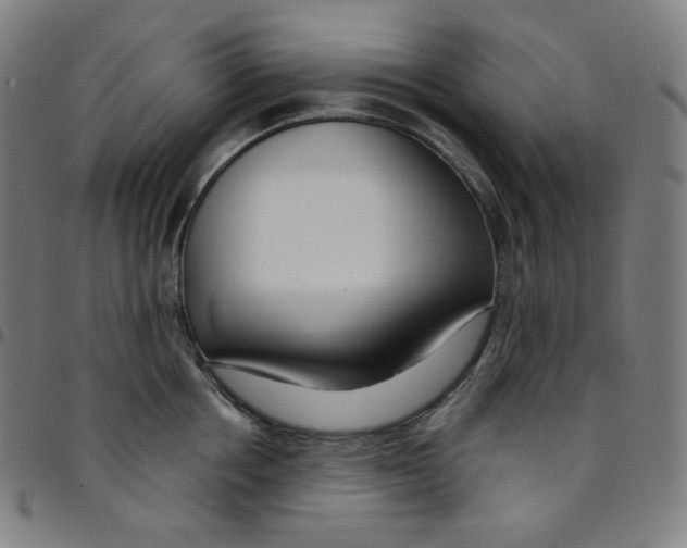 X0000095130858200801041245