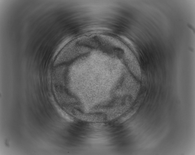 X0000095130859200801041245