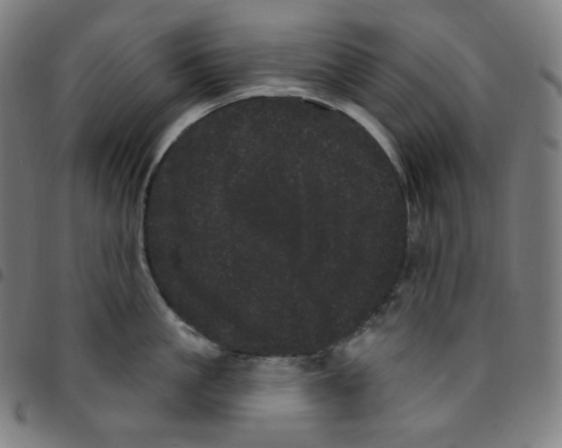 X0000095130861200801041245