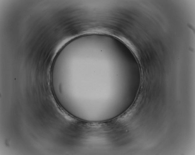 X0000095130862200801041245