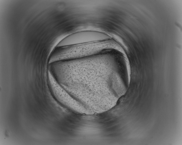 X0000095130863200801041245