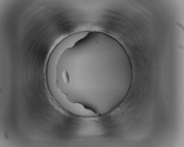 X0000095130864200801041245