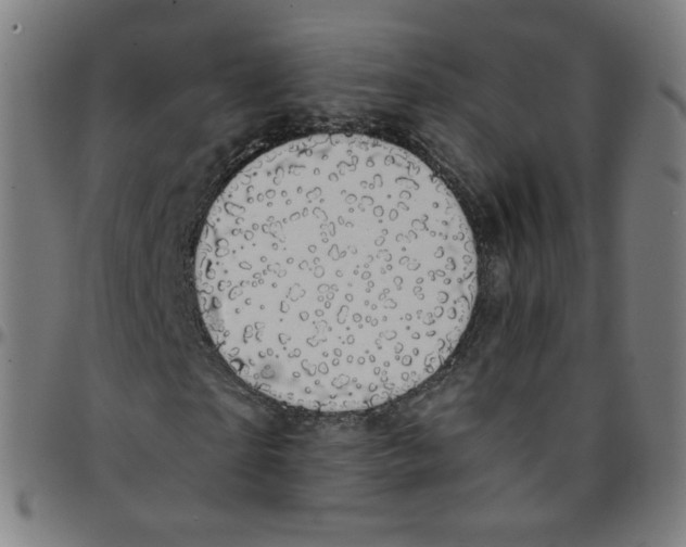 X0000095130865200801041244