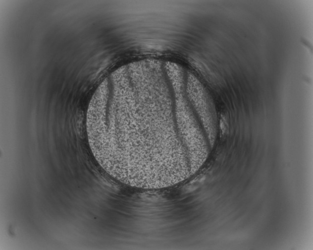 X0000095130867200801041244