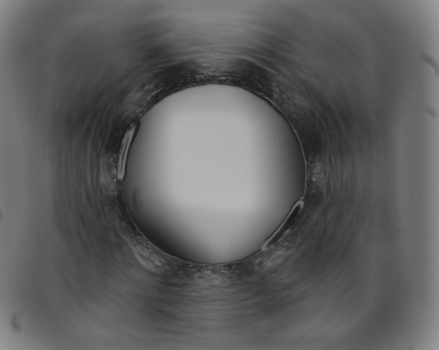 X0000095130868200801041244