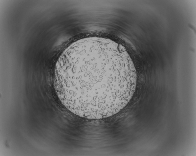 X0000095130869200801041244