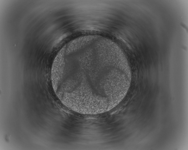 X0000095130870200801041244