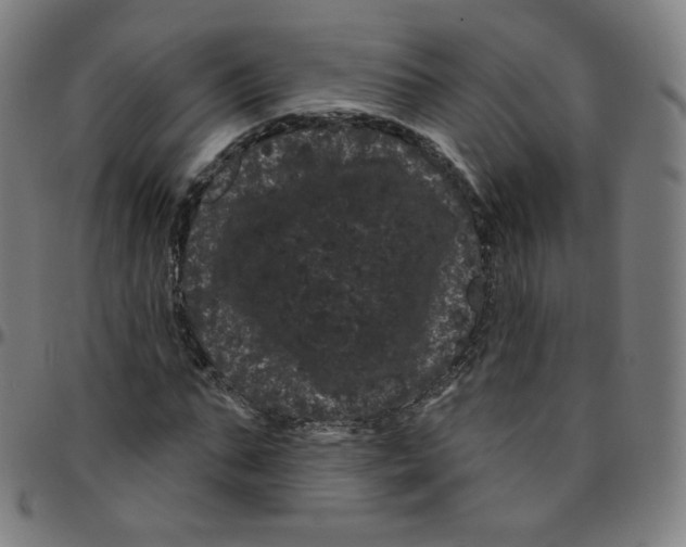 X0000095130871200801041244