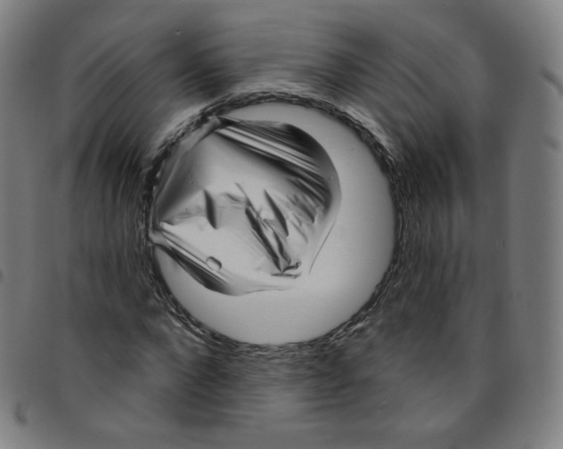 X0000095130872200801041244