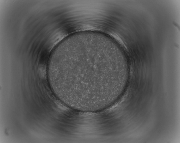 X0000095130873200801041244