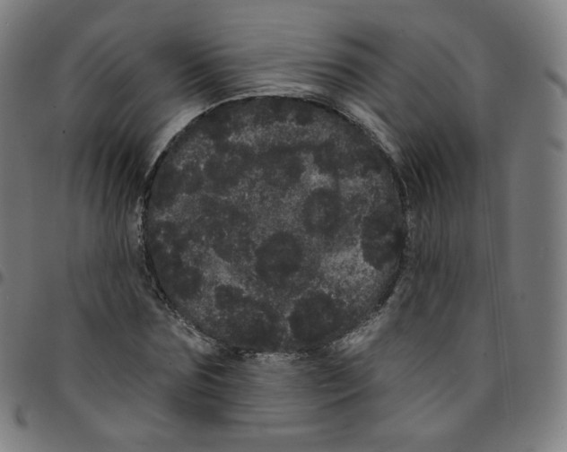 X0000095130875200801041244