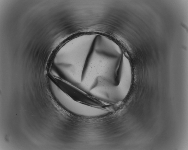 X0000095130876200801041244