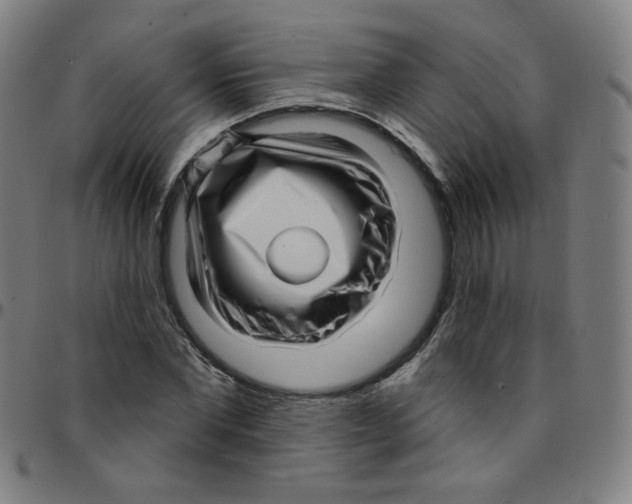 X0000095130877200801041244