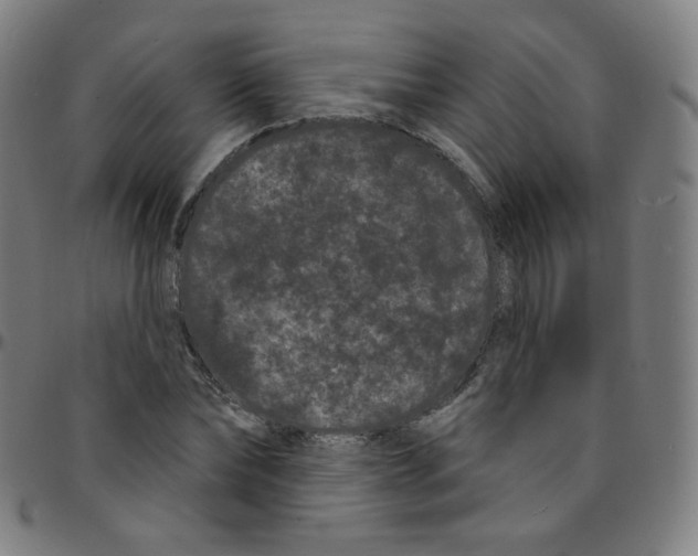 X0000095130878200801041244