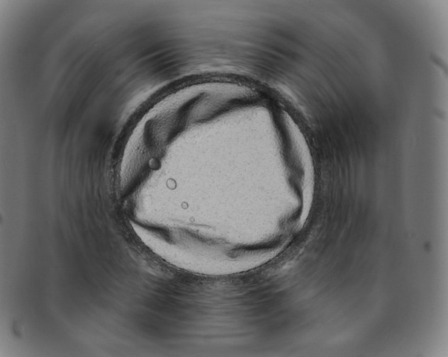 X0000095130879200801041244