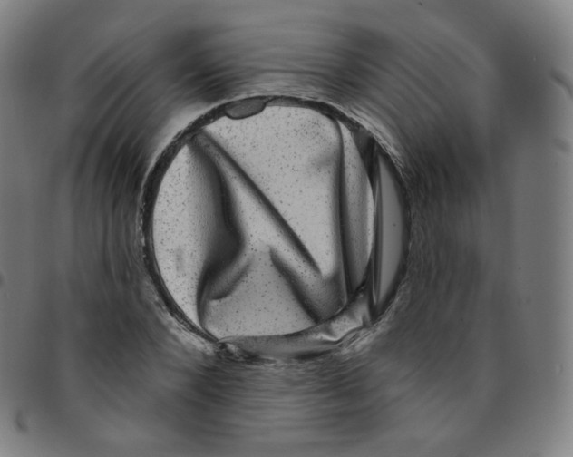 X0000095130880200801041244