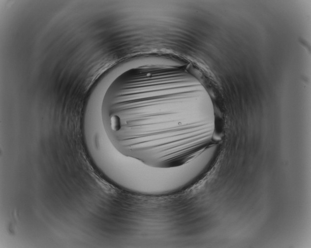 X0000095130881200801041244