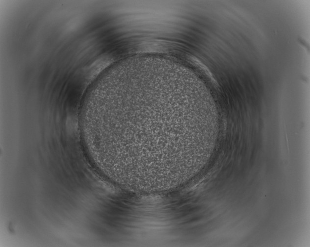 X0000095130882200801041244