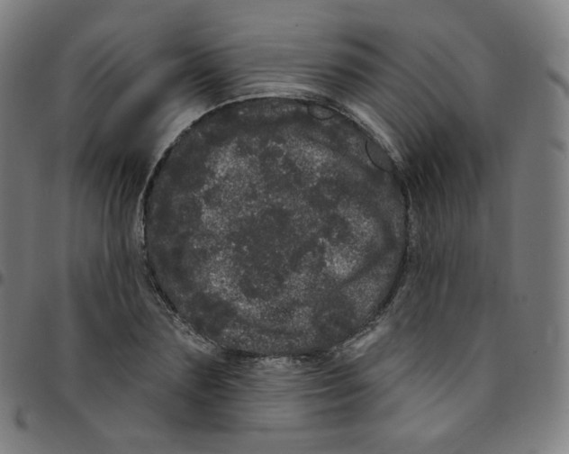 X0000095130883200801041244