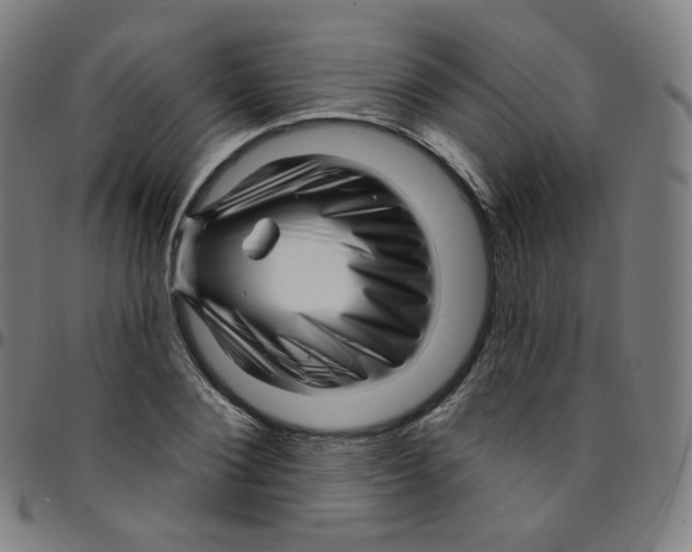 X0000095130884200801041244