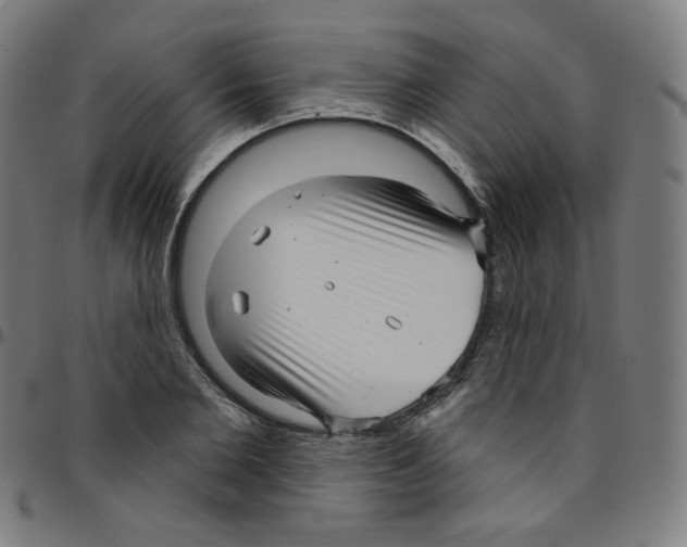 X0000095130885200801041244