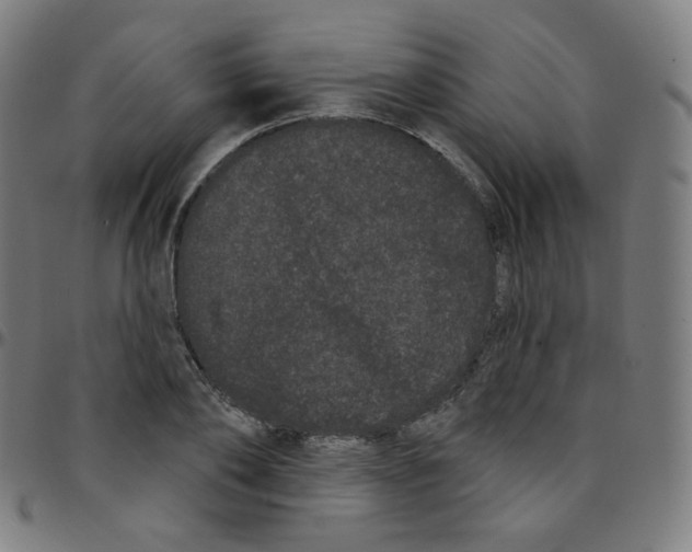 X0000095130886200801041244