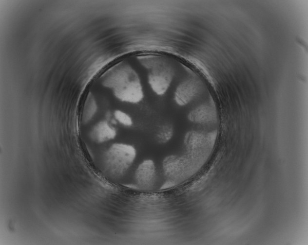 X0000095130887200801041244