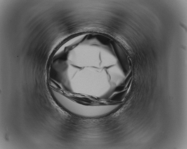 X0000095130888200801041244