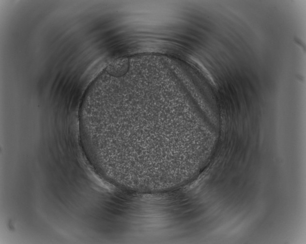 X0000095130890200801041244