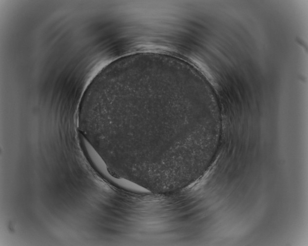 X0000095130891200801041244