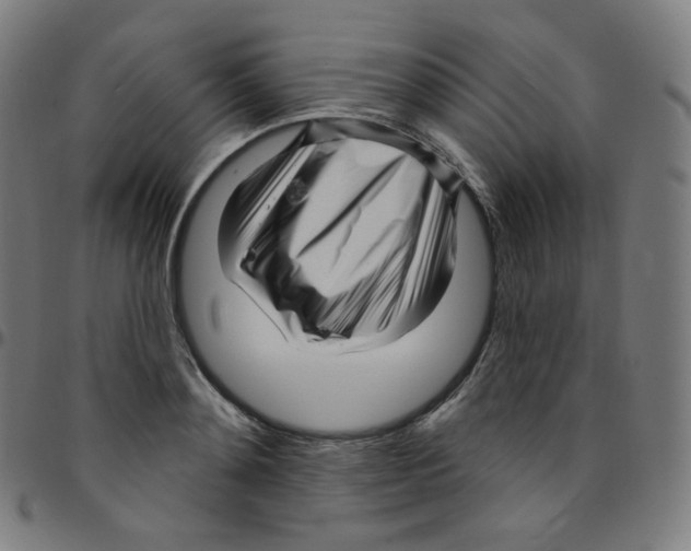 X0000095130892200801041244