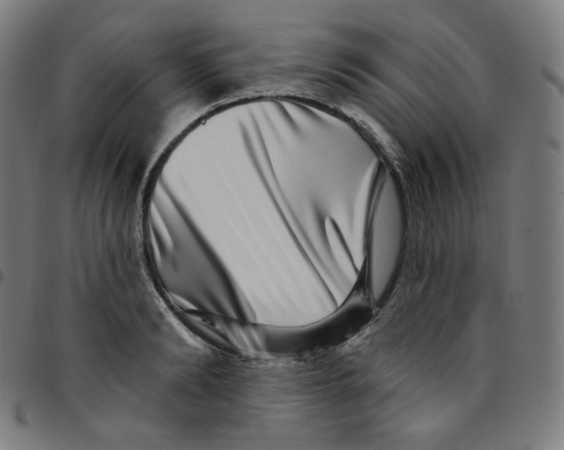 X0000095130894200801041244