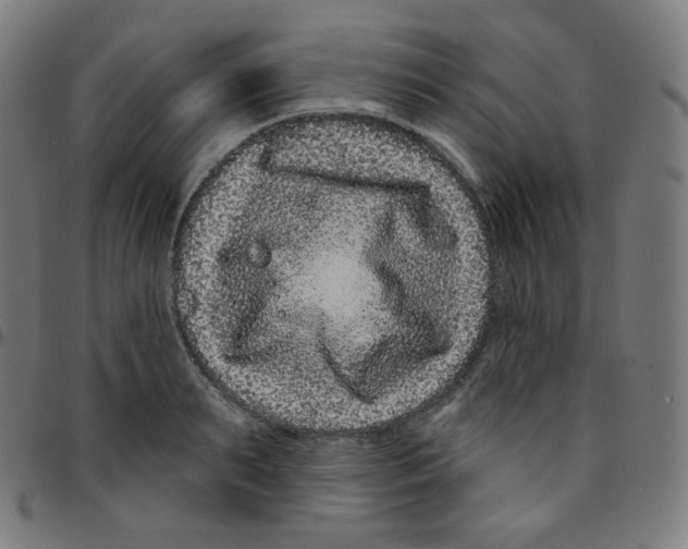 X0000095130895200801041244