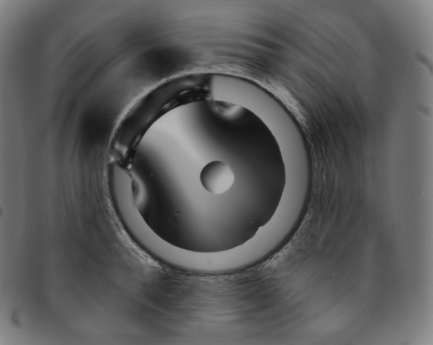 X0000095130896200801041244