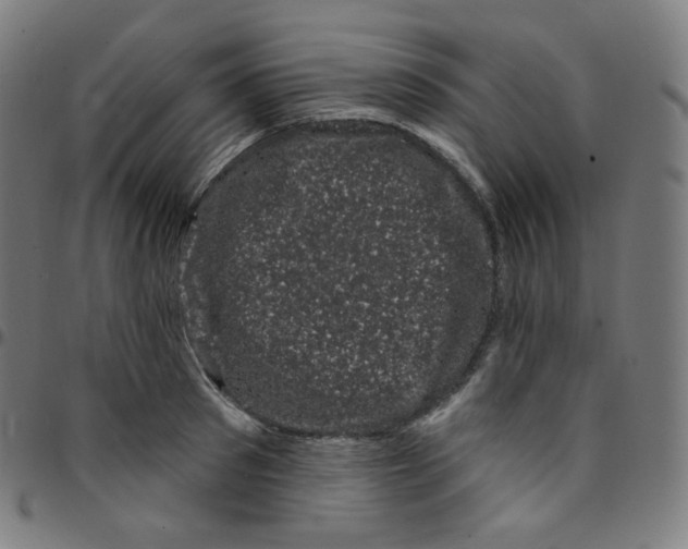 X0000095130897200801041244