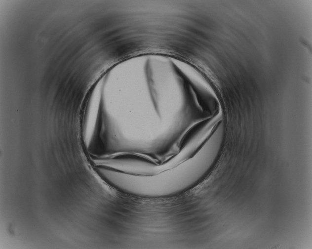 X0000095130898200801041244