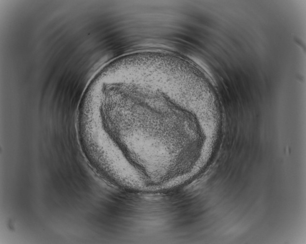 X0000095130899200801041244