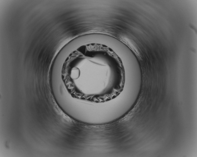 X0000095130900200801041244