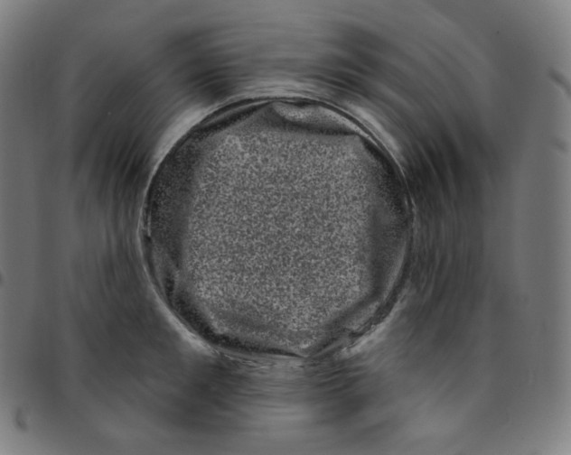 X0000095130901200801041244