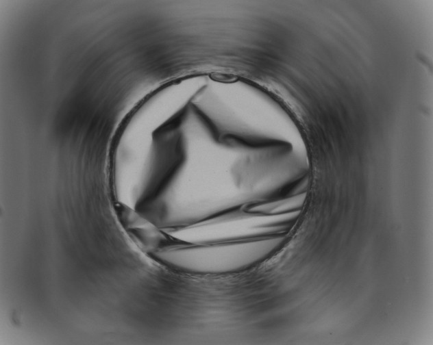 X0000095130902200801041244