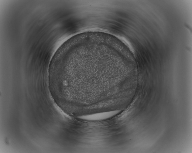 X0000095130903200801041244