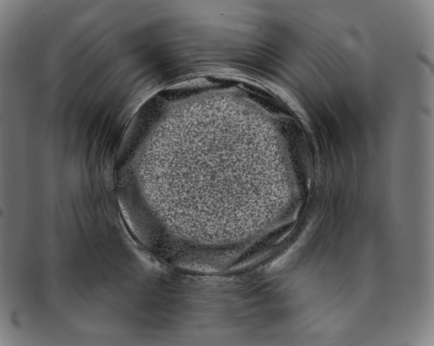 X0000095130905200801041243