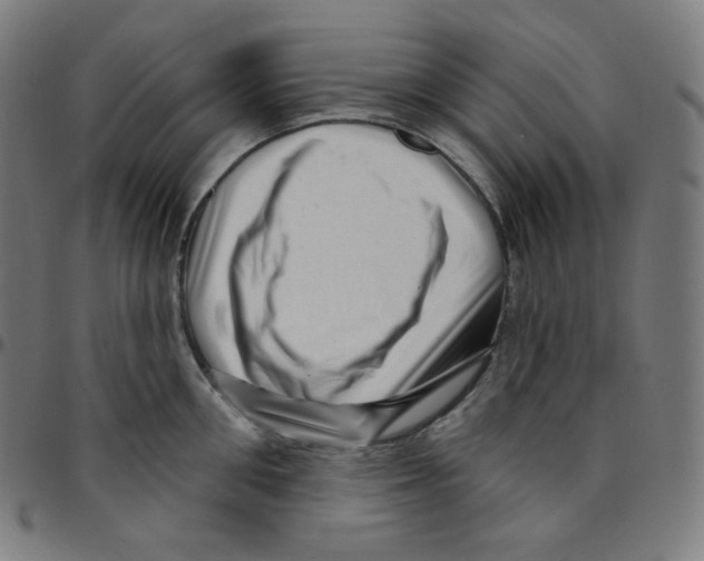 X0000095130906200801041243