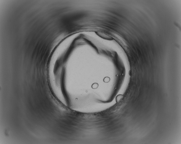 X0000095130907200801041243