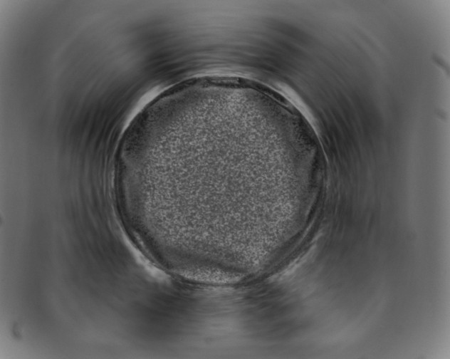 X0000095130909200801041243